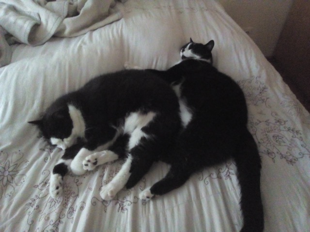 Rezension Oskar&Carlo